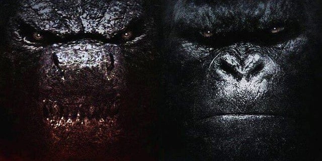 O Diretor De Godzilla Vs Kong Classifica O Proximo Confronto De Kaiju Como Emocao De Uma Vida Geeks In Action Sua Fonte De Recomendacoes E Entretenimento